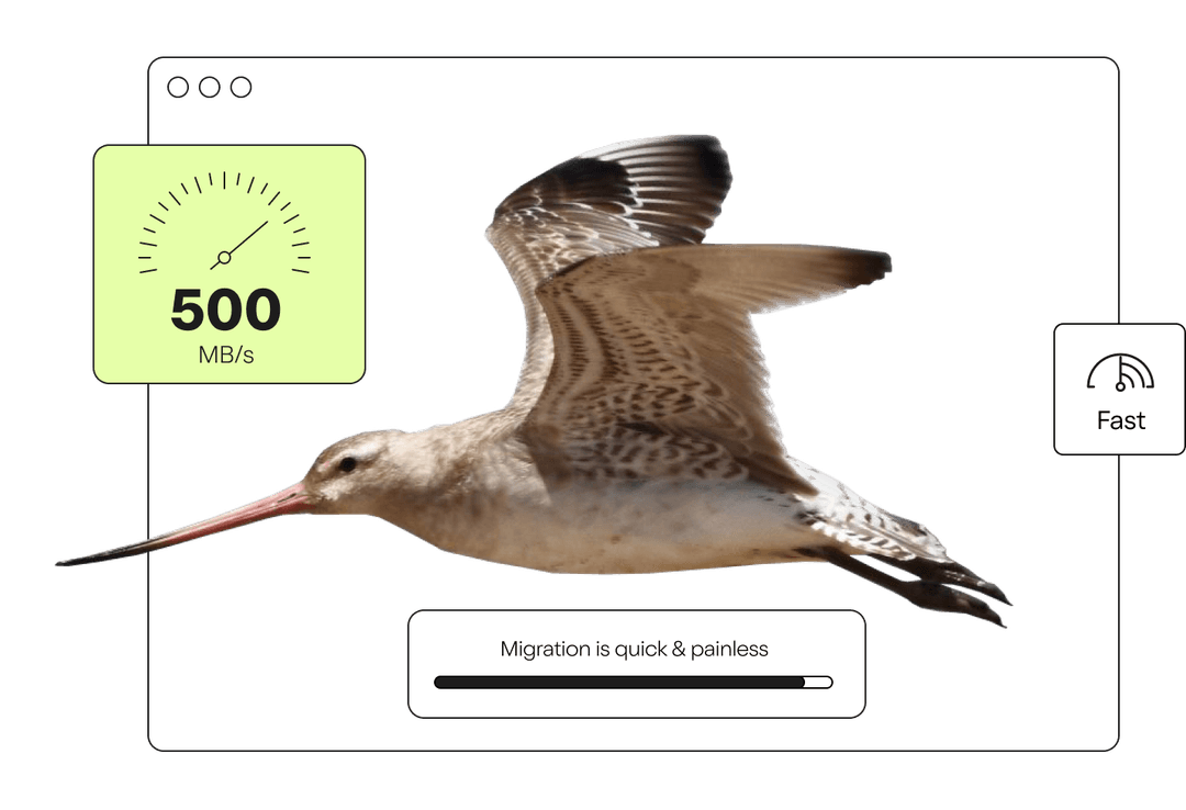 Quit Worrying About Migration Hassles! Quit Worrying About Migration Hassles!