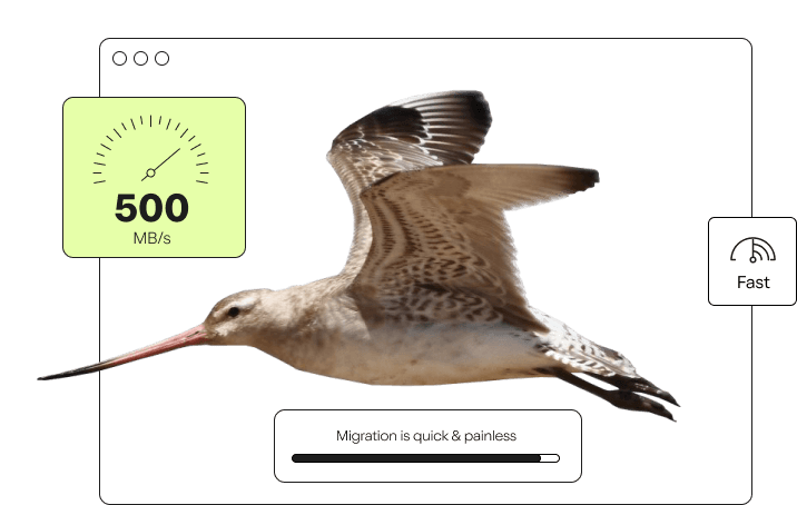 Quit Worrying About Migration Hassles! Quit Worrying About Migration Hassles!